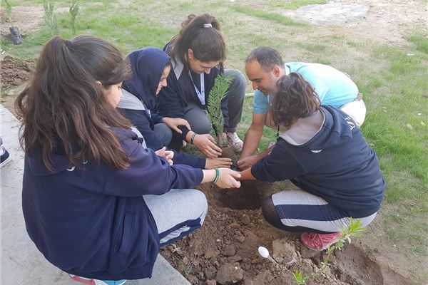Sarwaran Students Plant Trees